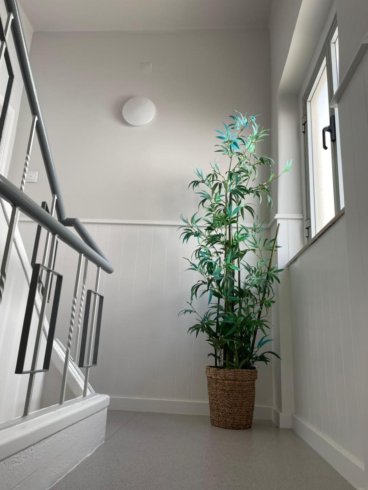 Lugar Dos Avos Apartment นาซาเร ห้อง รูปภาพ